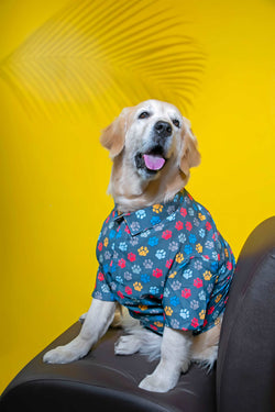 Pawsome Dog Shirt