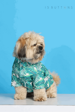 Rainforest Dog Shirt