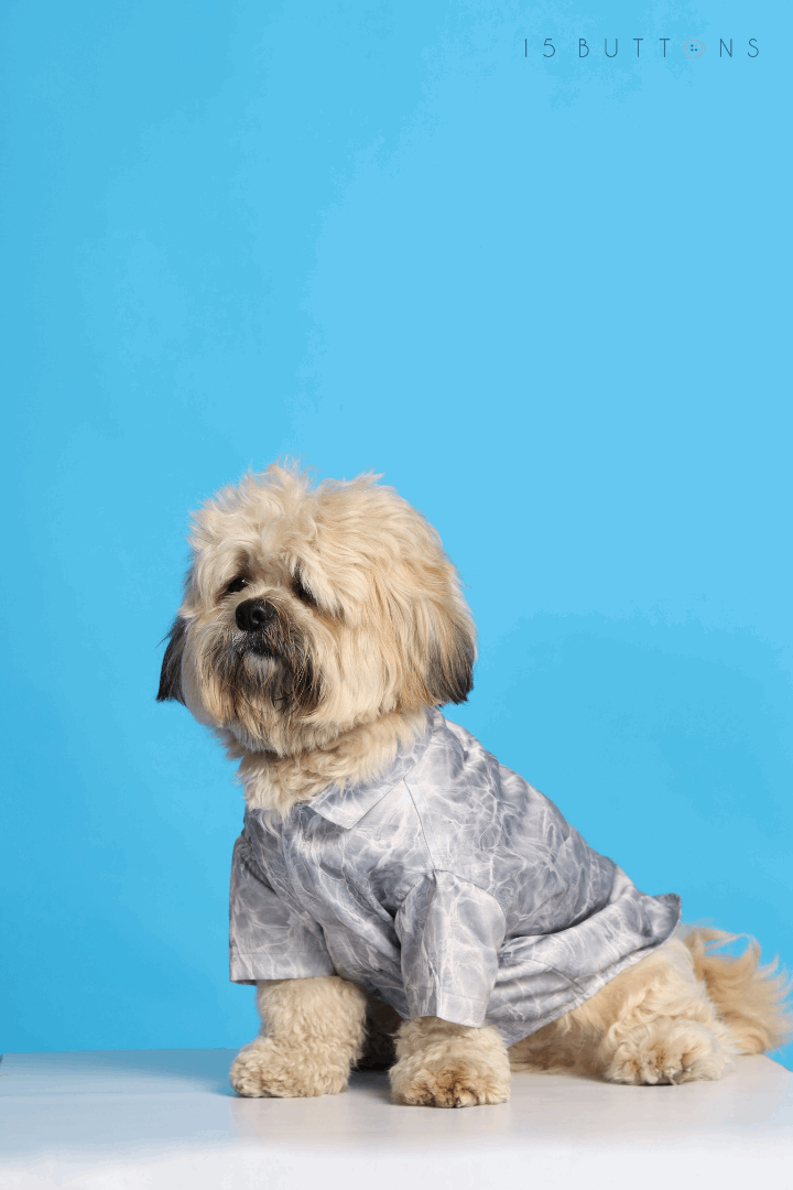 Silver Water Ripple Dog Shirt