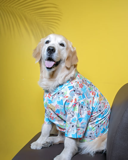 Tropical Koala Dog Shirt