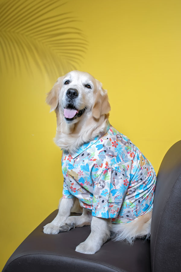 Tropical Koala Dog Shirt