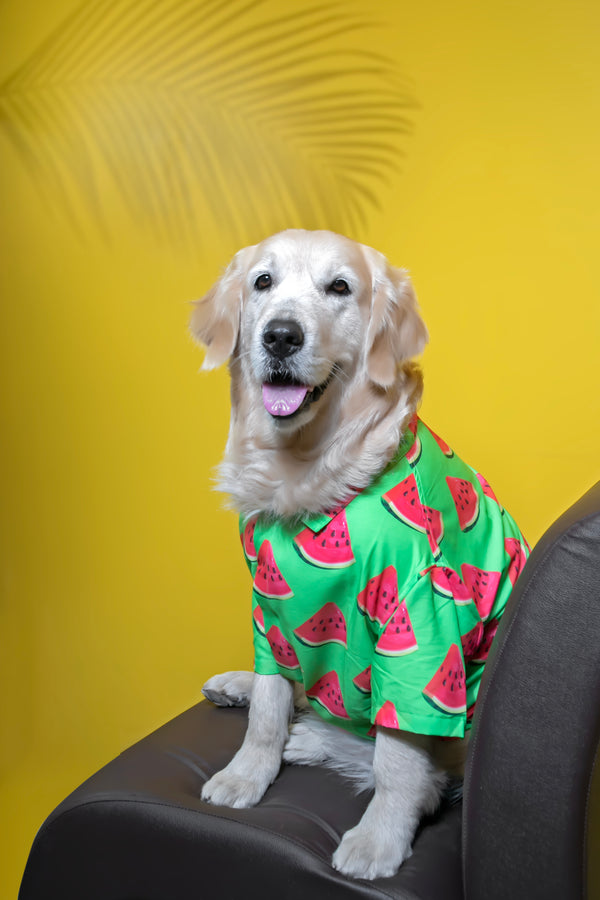 Watermelon Dog Shirt