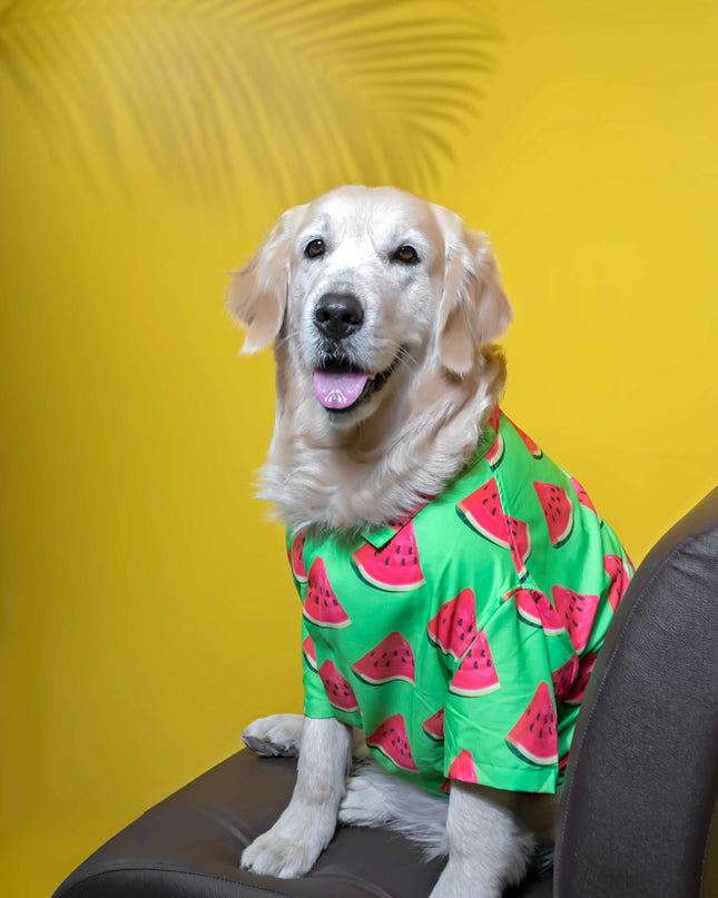 Watermelon Dog Shirt
