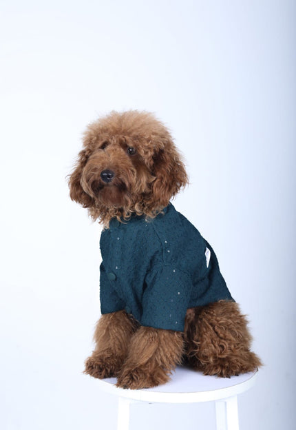Collection image for: Dog Sherwanis