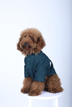 Hunter Green Mehendi Dog Sherwani