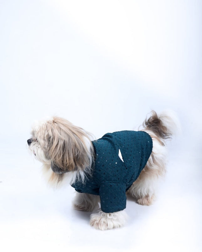 Peacock Blue Dog Sherwani