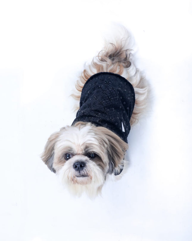 Black Dog Sherwani