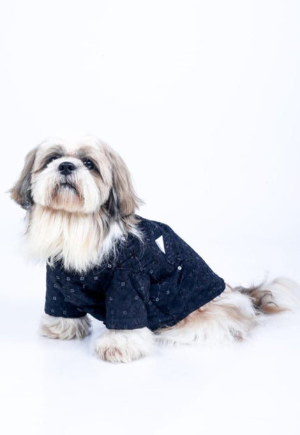 Black Dog Sherwani