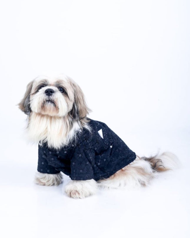 Black Dog Sherwani