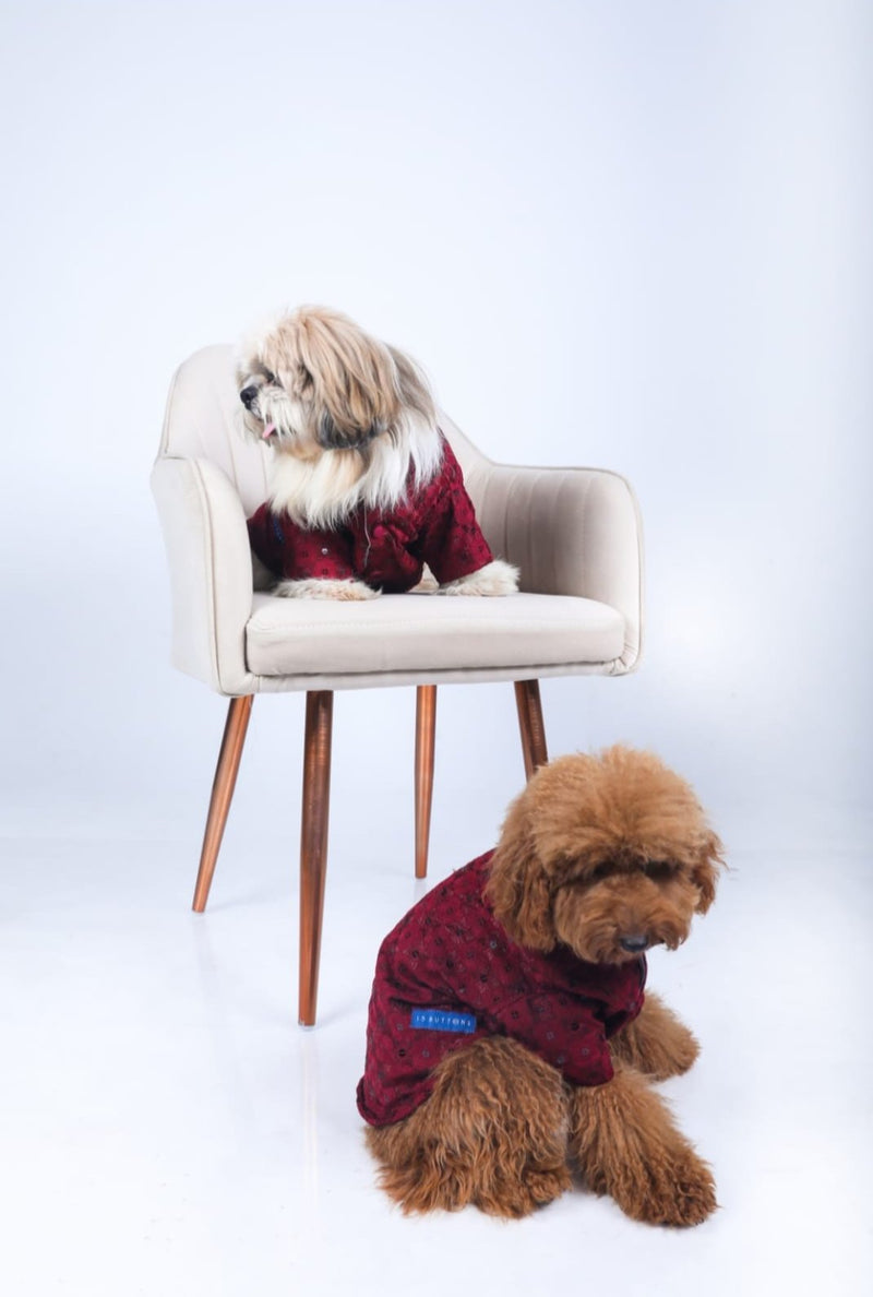 Maroon Wedding Dog Sherwani