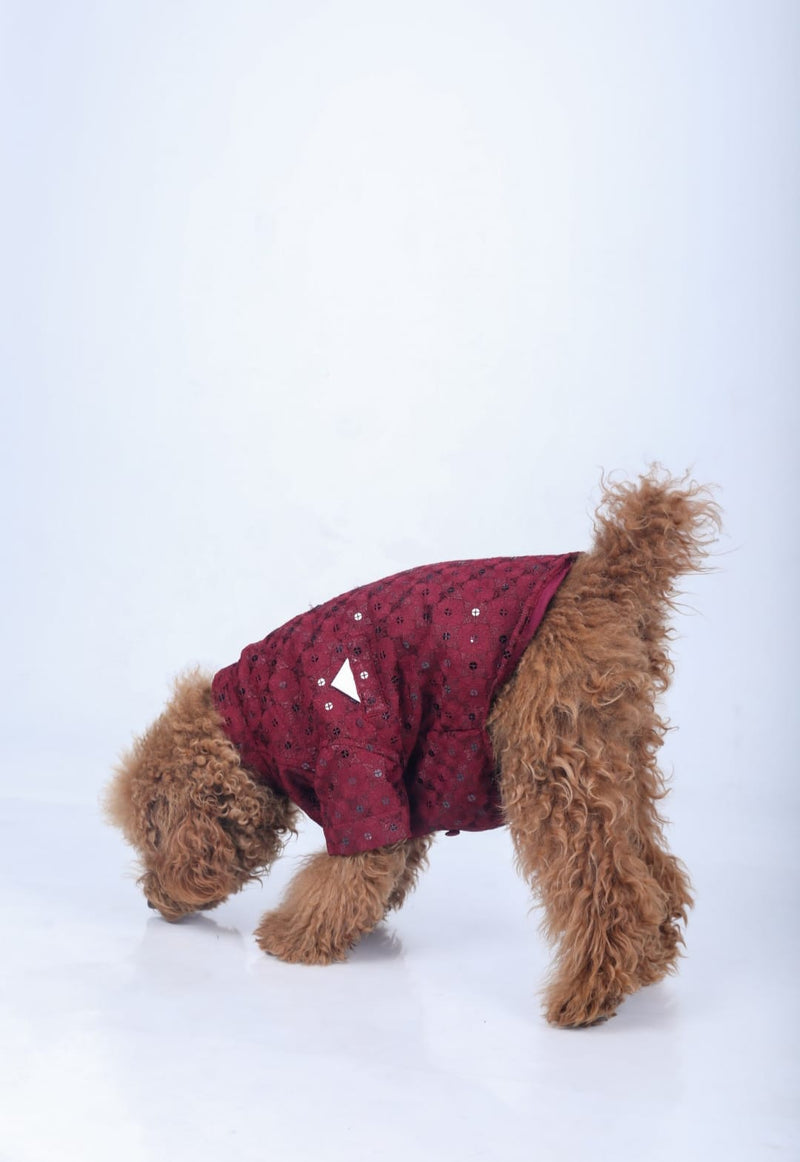 Maroon Wedding Dog Sherwani