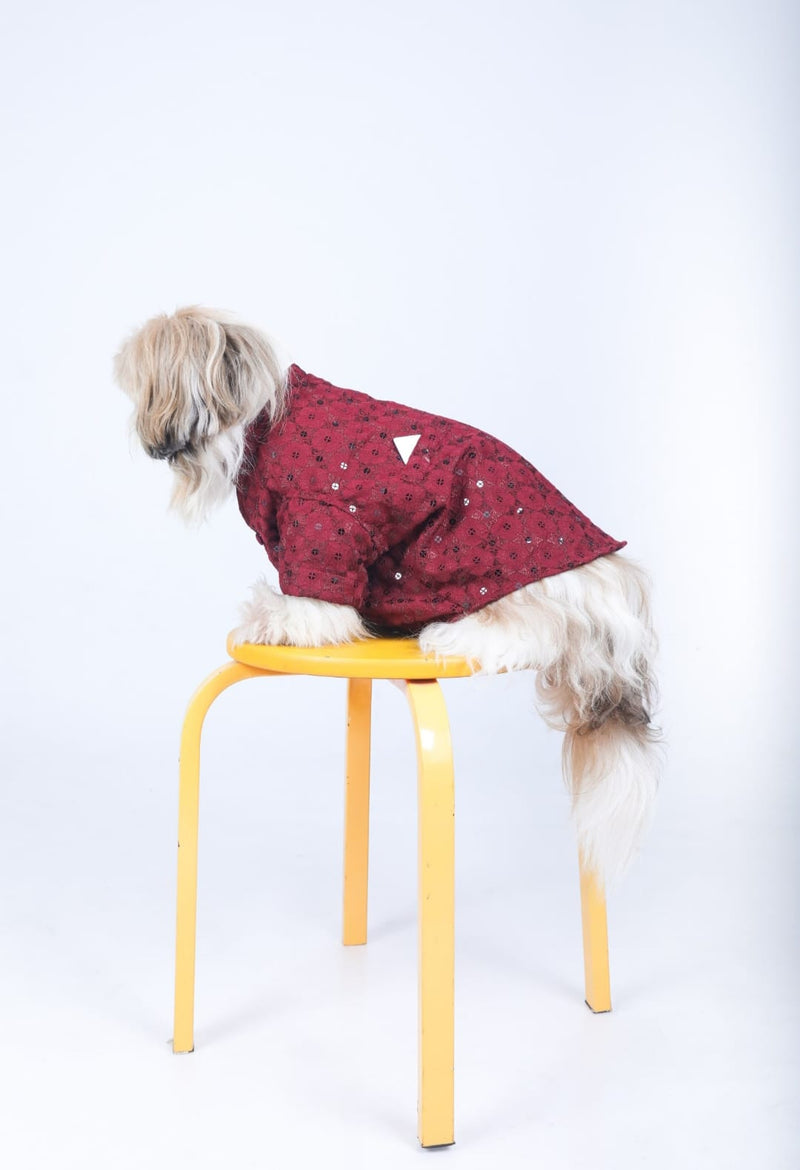 Maroon Wedding Dog Sherwani