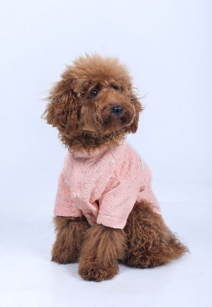 Peach Dog Sherwani
