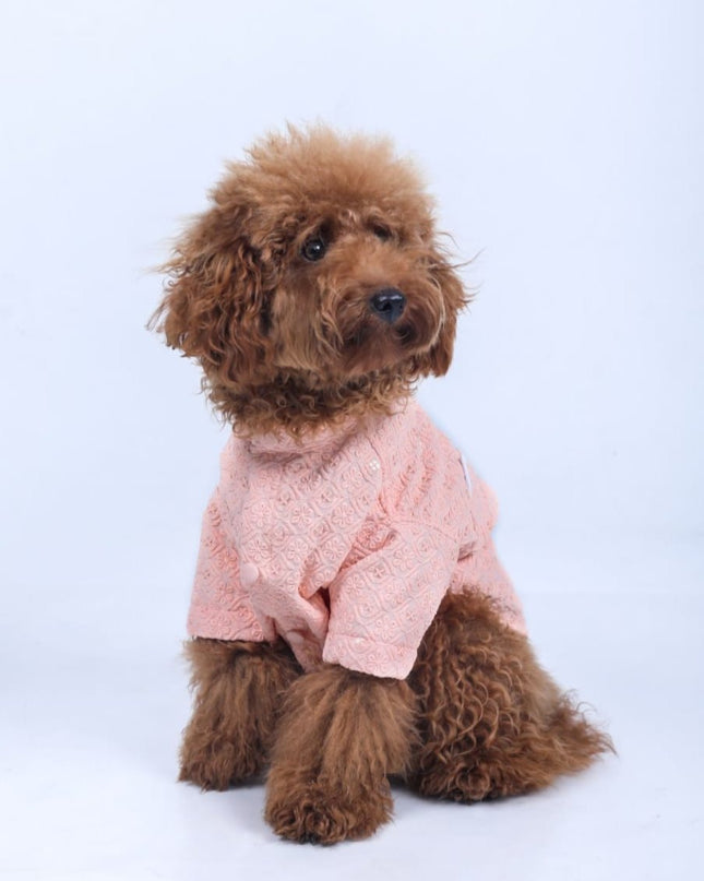 Peach Dog Sherwani