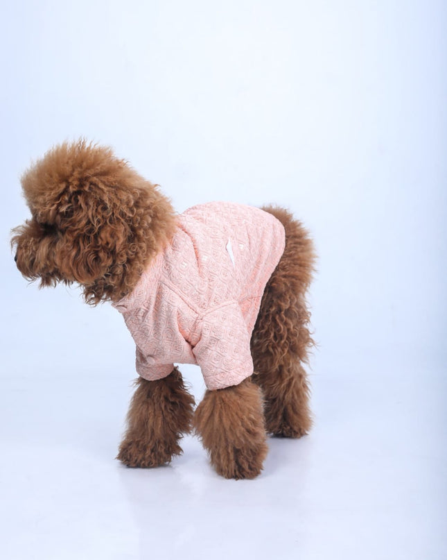 Peach Dog Sherwani