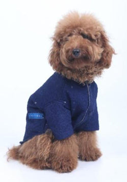 Navy Blue Dog Sherwani