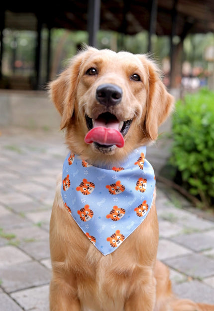 Tiger Tiger Bandana