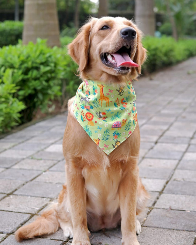 Madagascar  Bandana