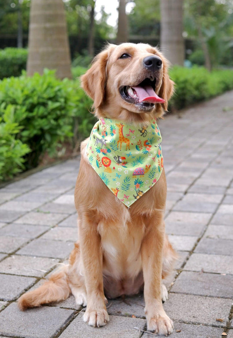 Madagascar  Bandana