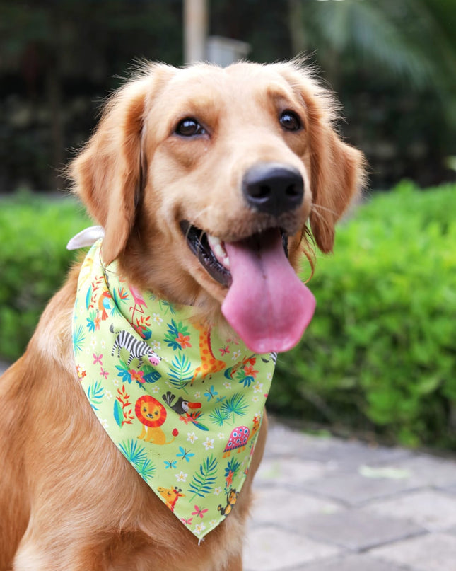 Madagascar  Bandana