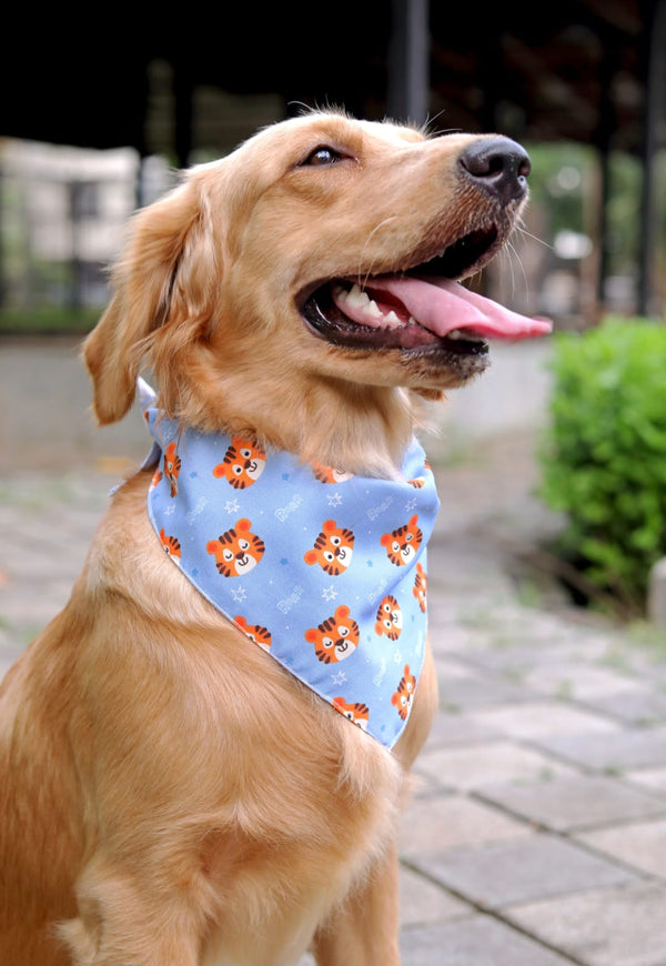 Tiger Tiger Bandana