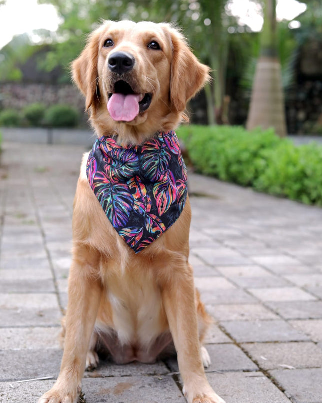 Neon Tropical Bandana
