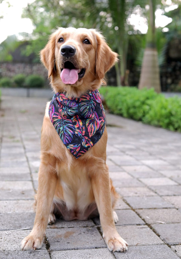 Neon Tropical Bandana