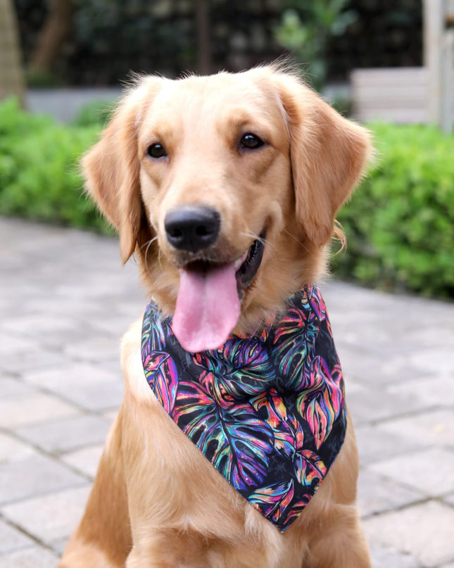 Neon Tropical Bandana