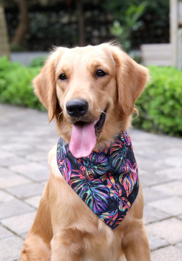 Neon Tropical Bandana