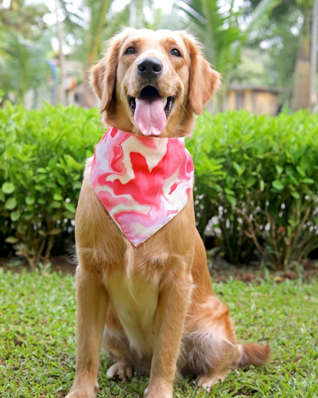 Pink Fluid Art Bandana