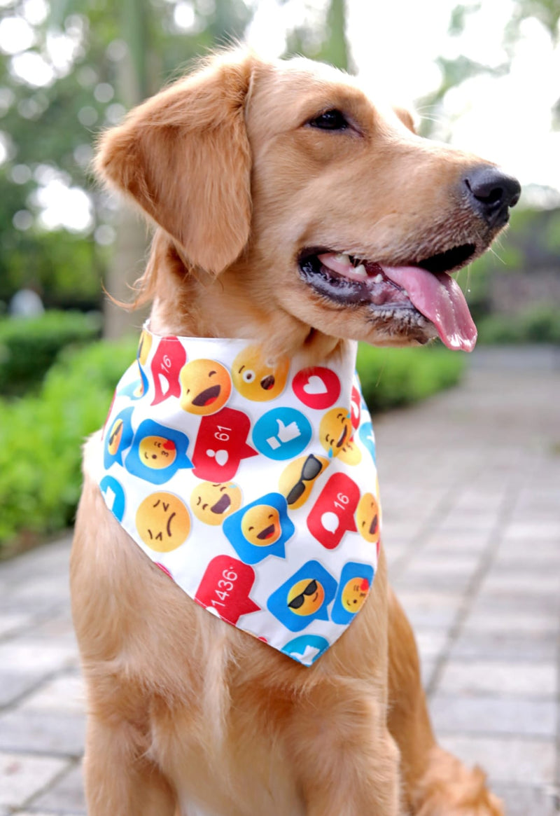 Emoji Bandana