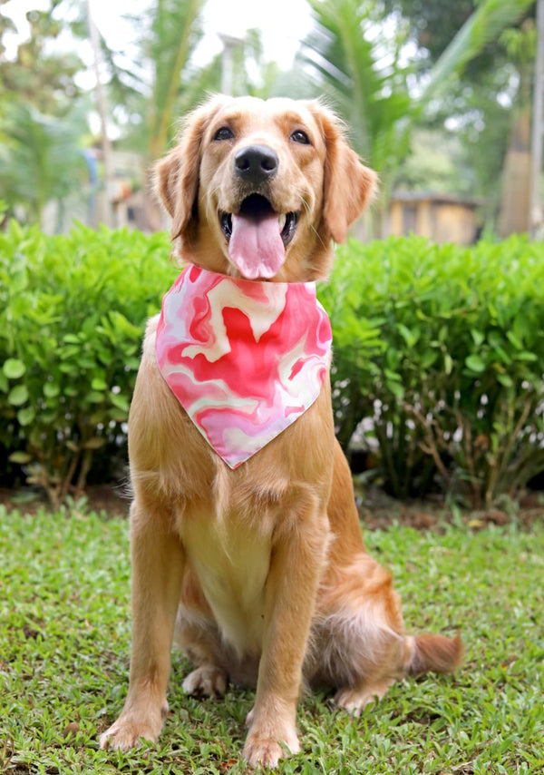 Pink Fluid Art Bandana