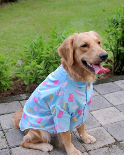 Gummy Bears Dog Shirt
