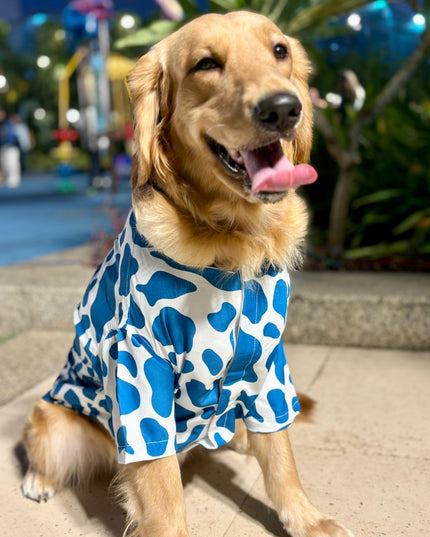 BLUE MOO