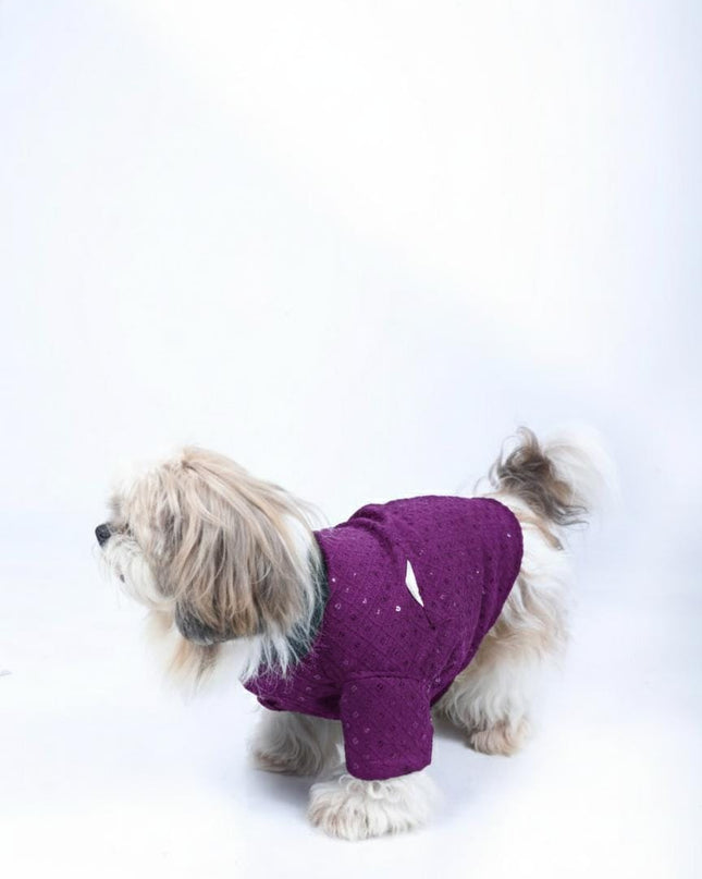 Purple Wine Dog Sherwani