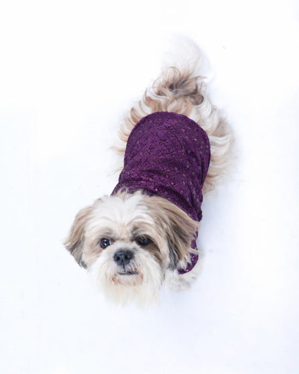 Purple Wine Dog Sherwani
