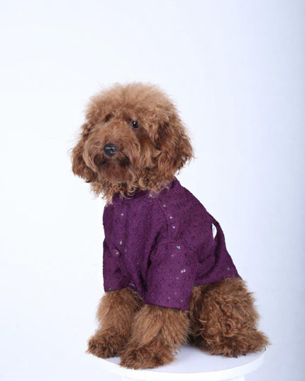Purple Wine Dog Sherwani