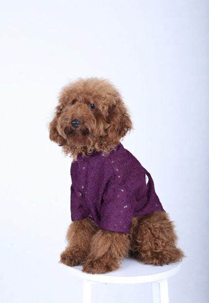 Purple Wine Dog Sherwani