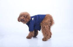 Navy Navratri Dog Sherwani