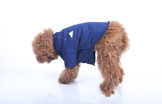 Navy Blue Dog Sherwani