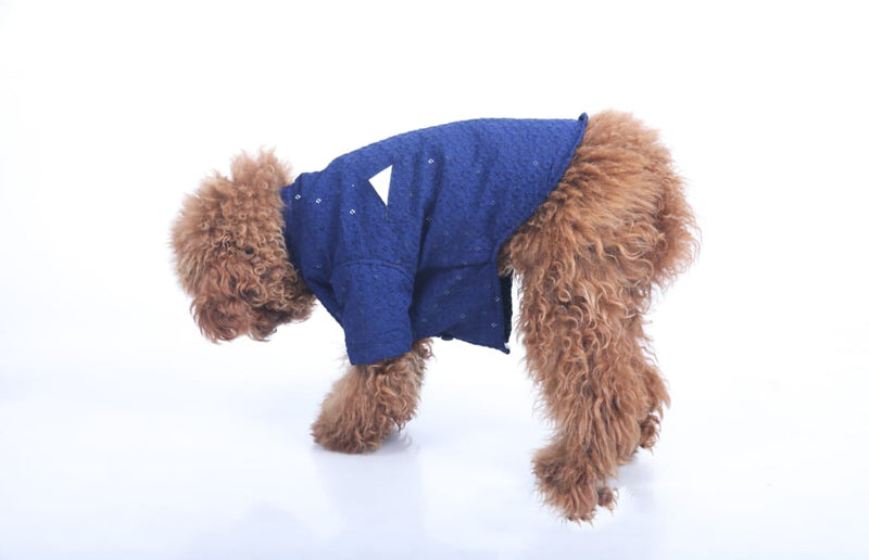 Navy Blue Dog Sherwani