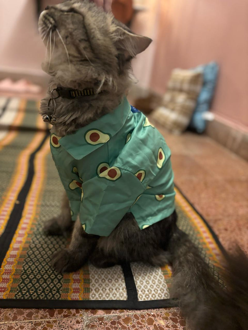 AVOCADO CAT SHIRT