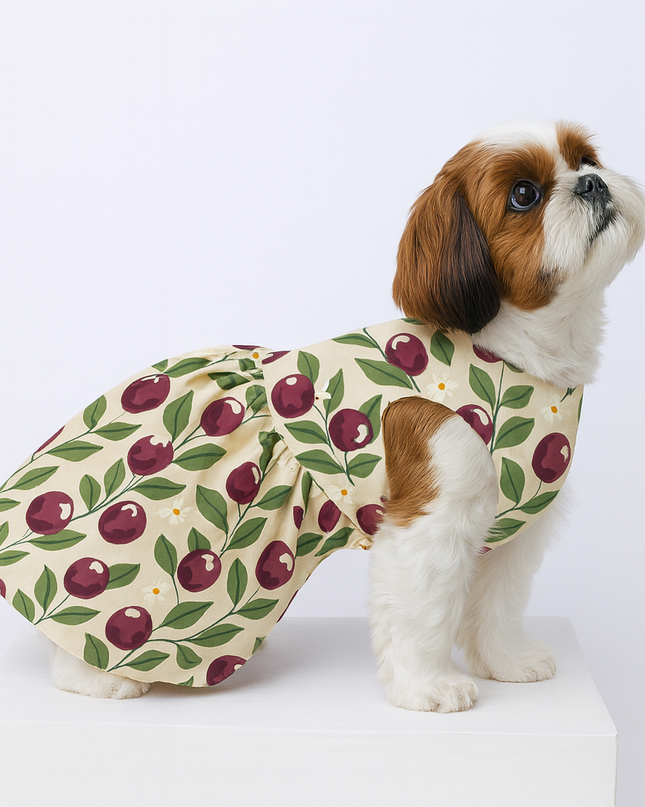 BLUSHING BERRIES  DOG DRESS