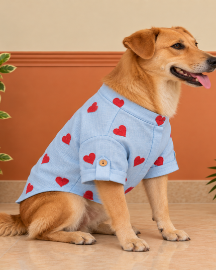 LINEN HEART EMBROIDERY DOG KURTA- BABY BLUE