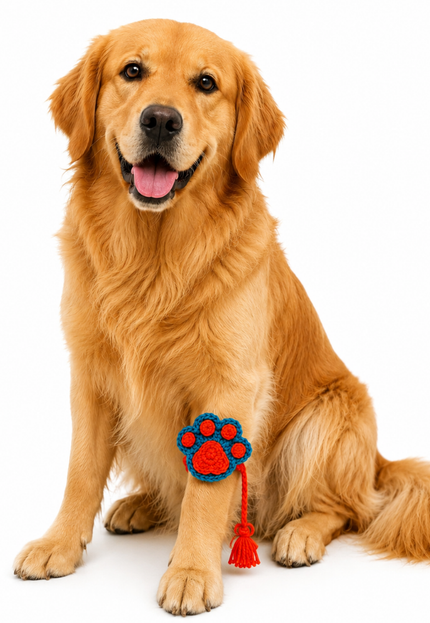 Orange & Blue Paw Crochet Rakhi for Pets