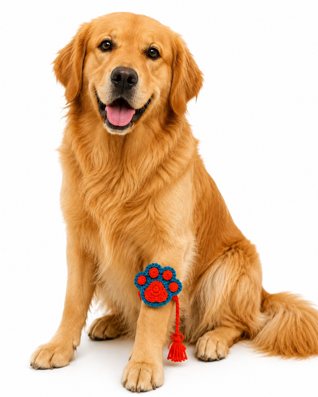 Orange & Blue Paw Crochet Rakhi for Pets