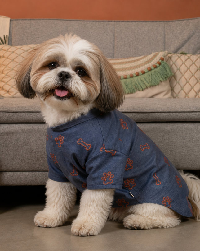 DESI DENIM DOG KURTA- INDIGO