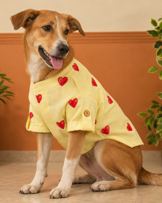 HEART EMBROIDERY DOG KURTA- LEMON YELLOW