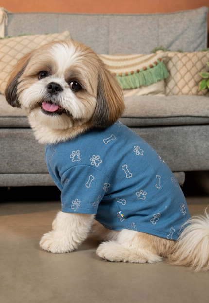 DESI DENIM DOG KURTA- BLUE