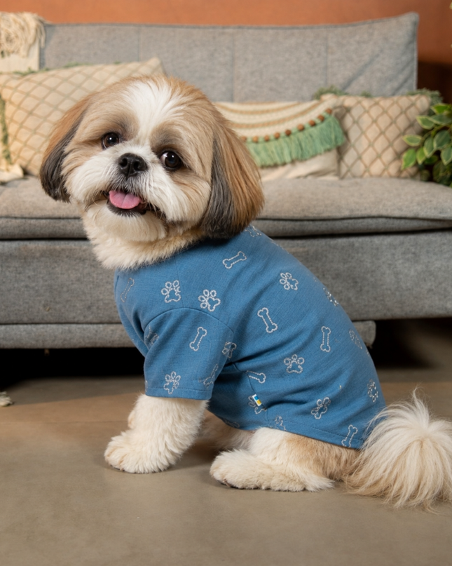 DESI DENIM DOG KURTA- BLUE